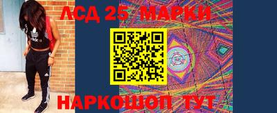 jwh Новозыбков