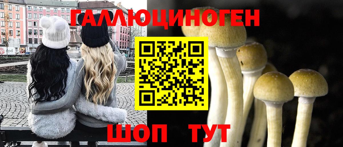 Псилоцибиновые грибы ЛСД Удомля