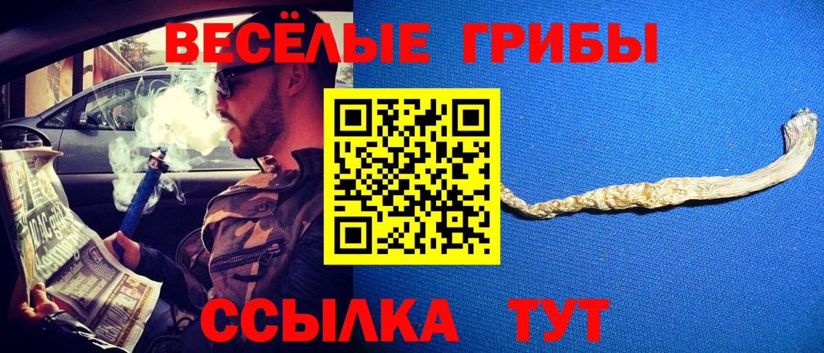 Удомля  магазин  наркотиков  Псилоцибиновые грибы прущие грибы  Вход с VPN  Галлюциногенные грибы прущие грибы 